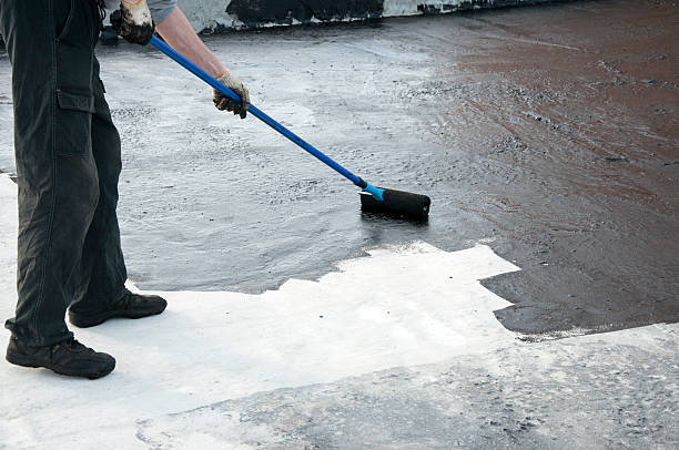 Best Concrete Grinding and Polishing in Socorro, TX